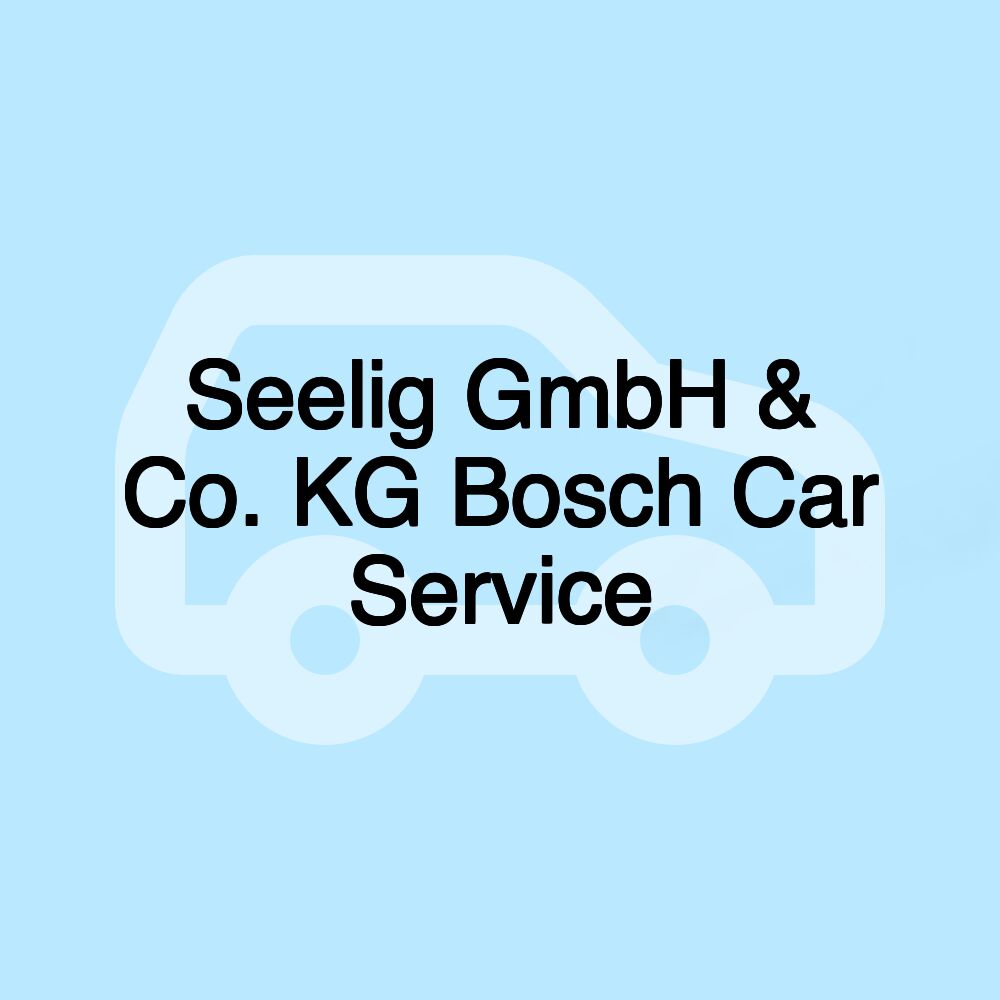 Seelig GmbH & Co. KG Bosch Car Service