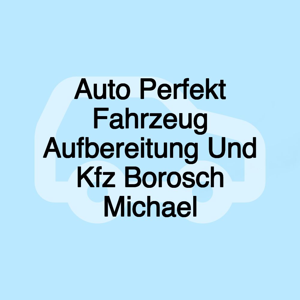 Auto Perfekt Fahrzeug Aufbereitung Und Kfz Borosch Michael