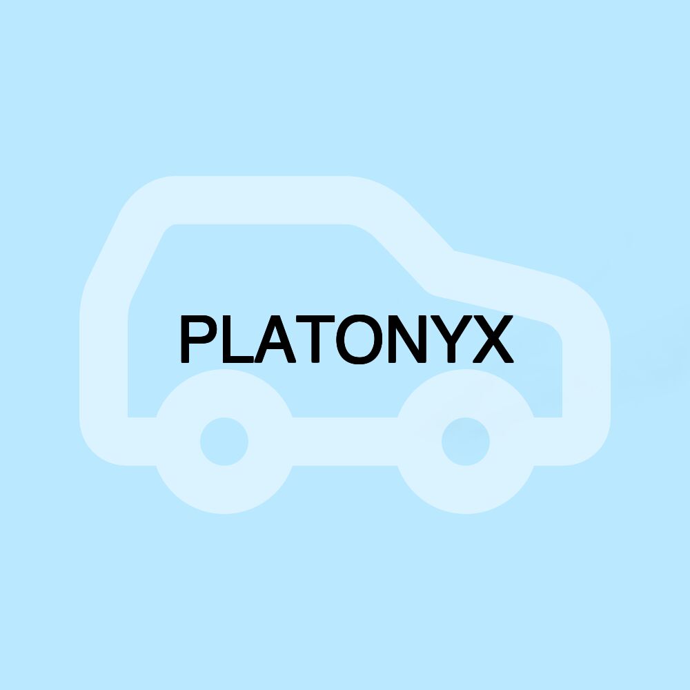 PLATONYX