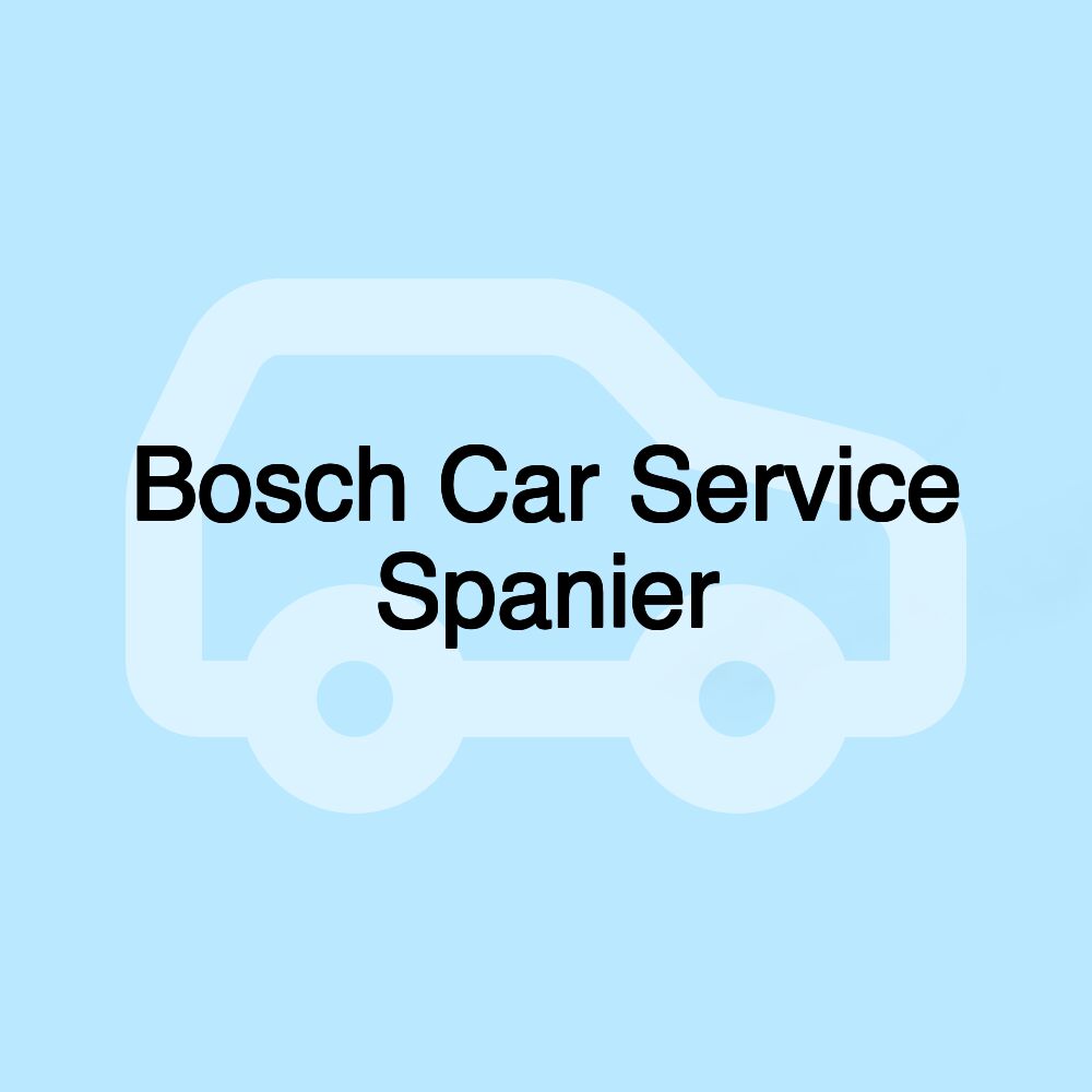 Bosch Car Service Spanier