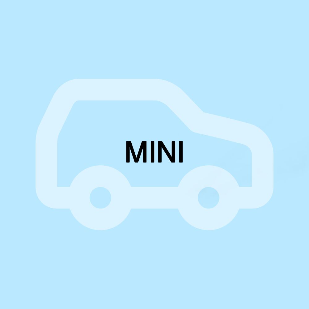 MINI MINI