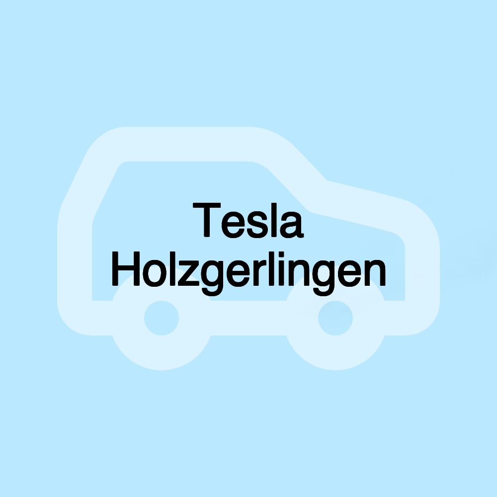 Tesla Holzgerlingen