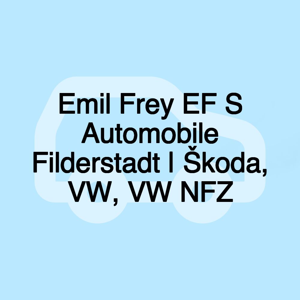 Emil Frey EF S Automobile Filderstadt | Škoda, VW, VW NFZ