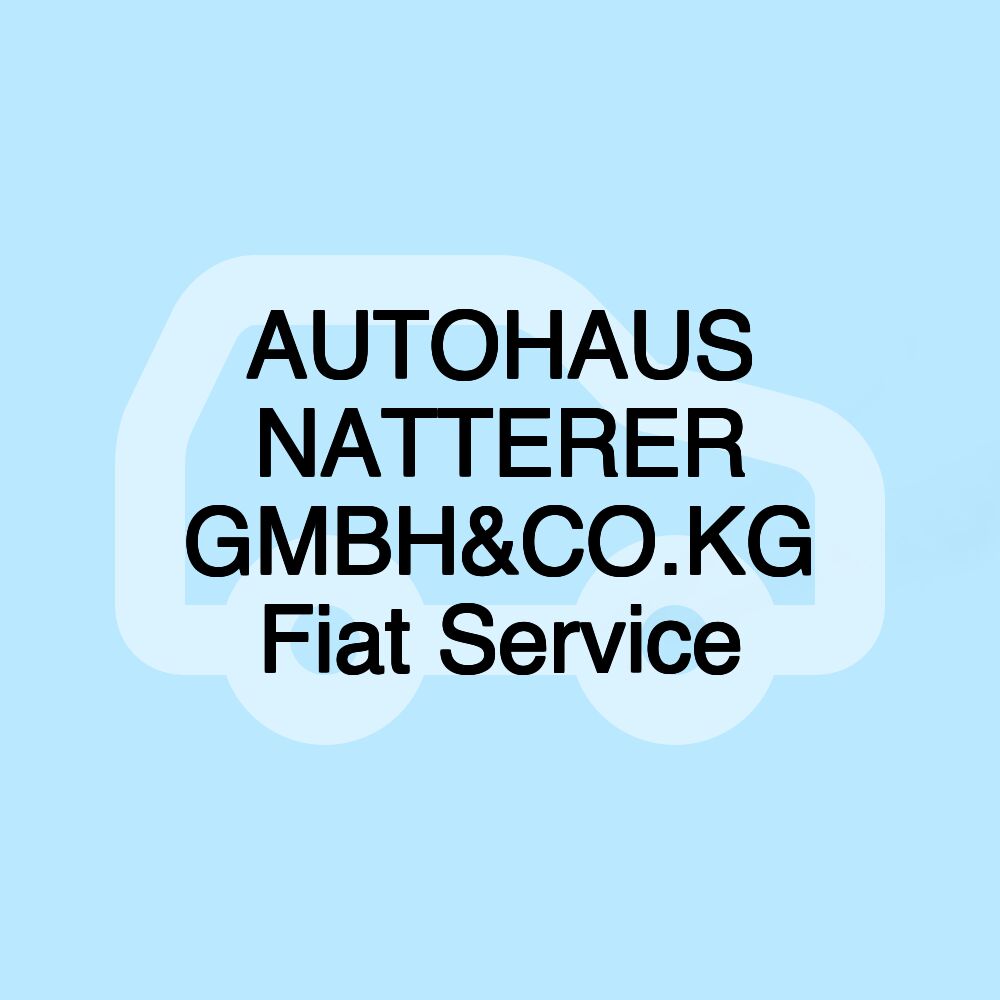 AUTOHAUS NATTERER GMBH&CO.KG Fiat Service
