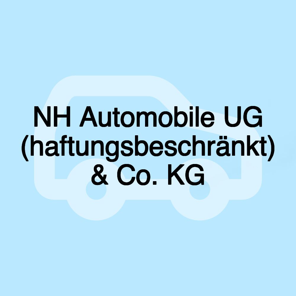 NH Automobile UG (haftungsbeschränkt) & Co. KG