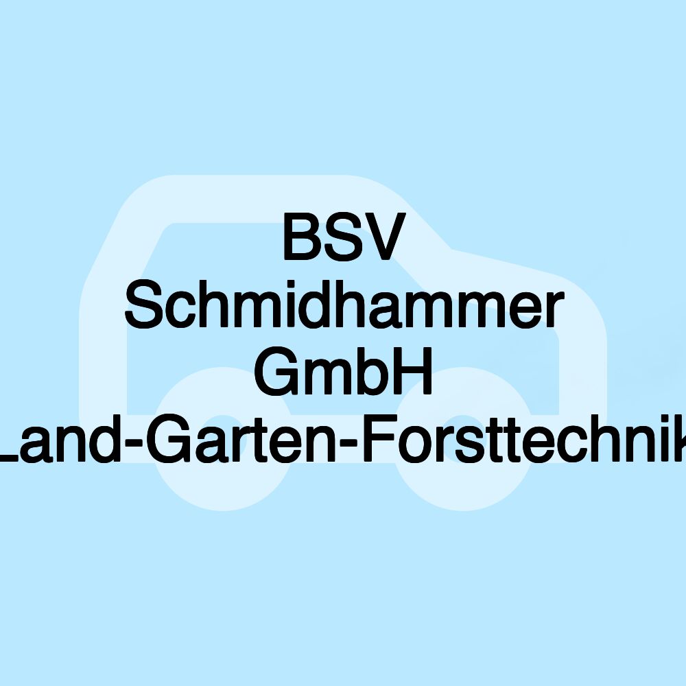 BSV Schmidhammer GmbH Land-Garten-Forsttechnik